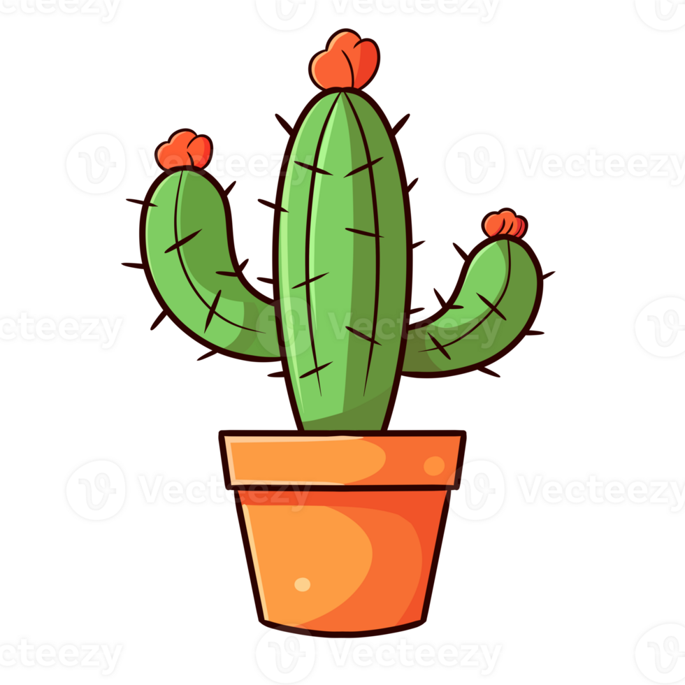 cute cactus illustation png