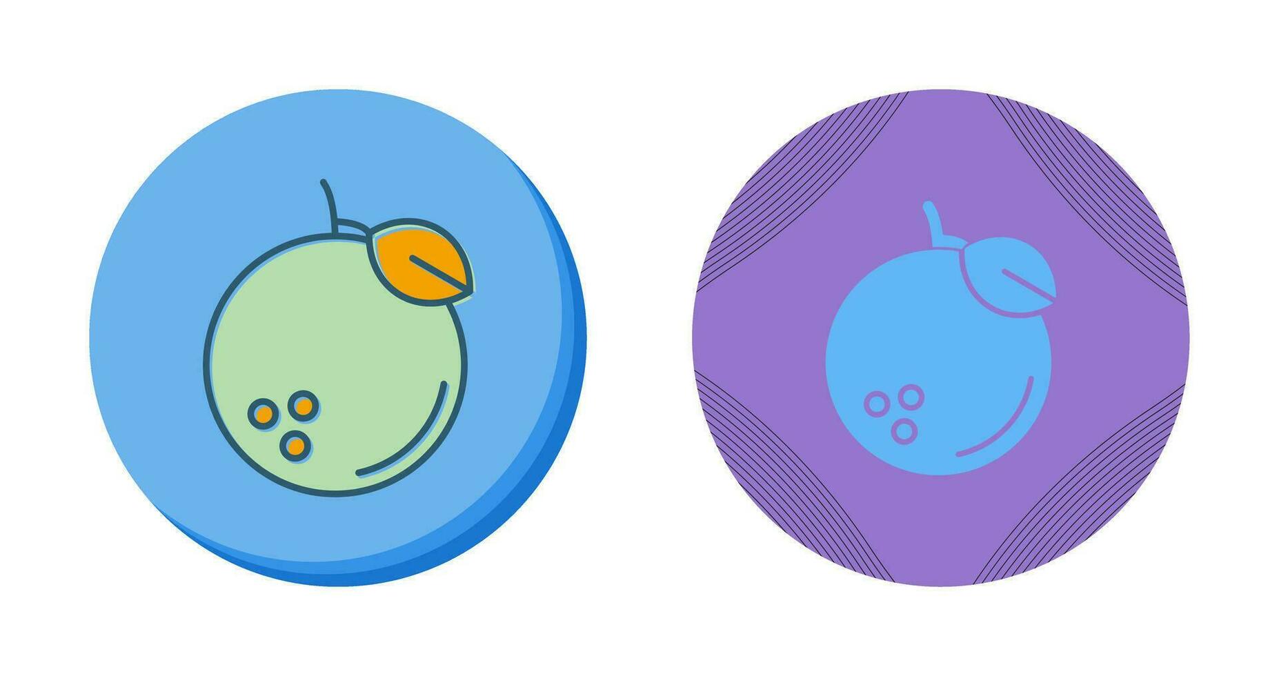 Orange Vector Icon