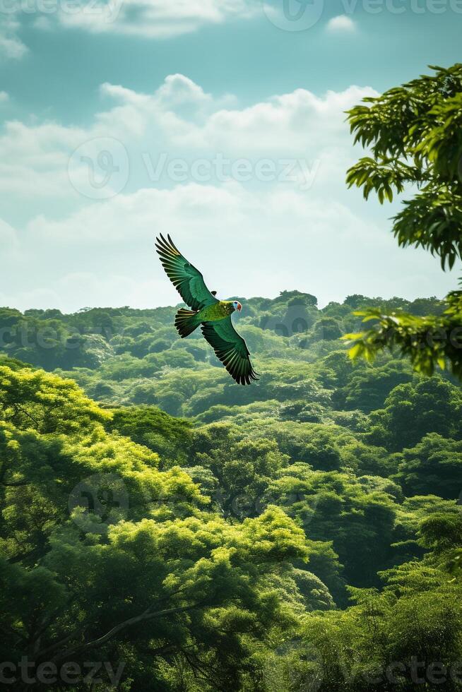 Dense, emerald-green jungle scene with a vibrant parrot flying amidst the foliage photo