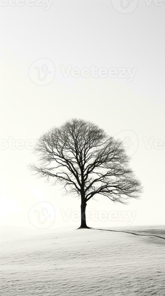 Embodying solitude - Monochromatic image of a lone tree casting shadows against a stark white background AI Generative photo