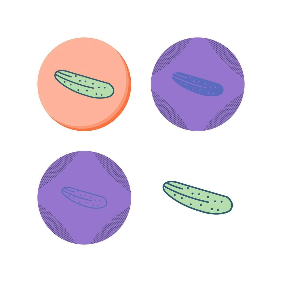 Cucumber Vector Icon