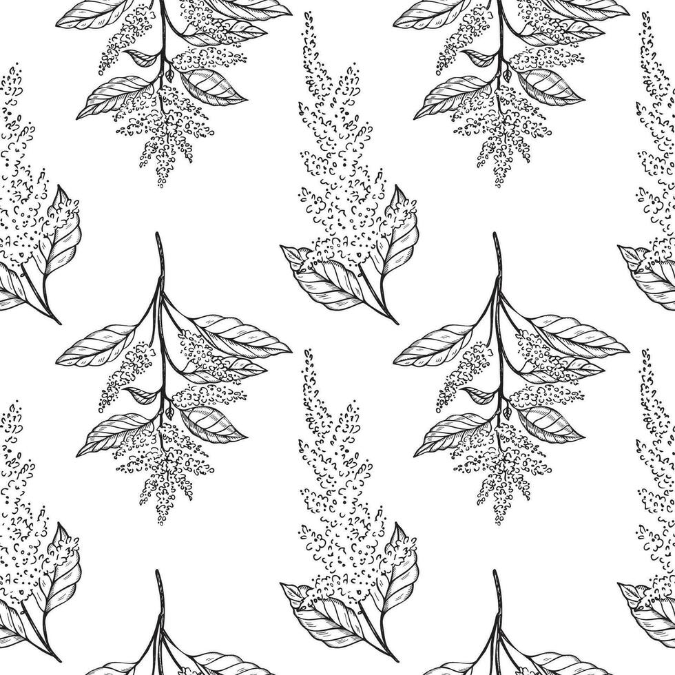 Amaranth plant seamless pattern vector illustration repeating background. Hand drawn Pigweed flower, vegetarian nutrition, grains agricultural. For print, design, paper, label, wrapping, textile, card