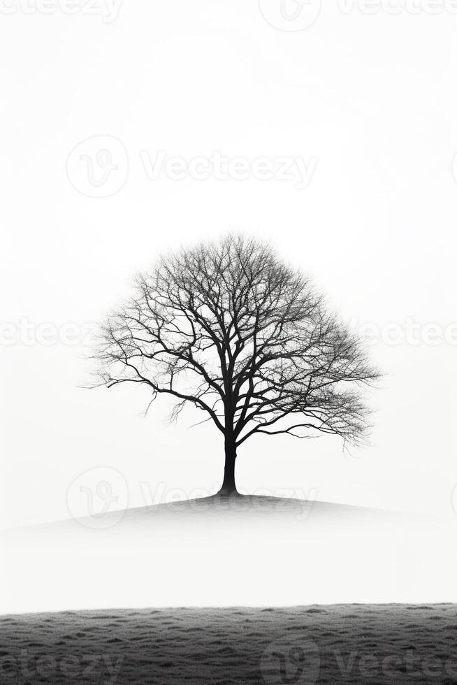 Lone tree casting shadows against stark white background AI Generative photo