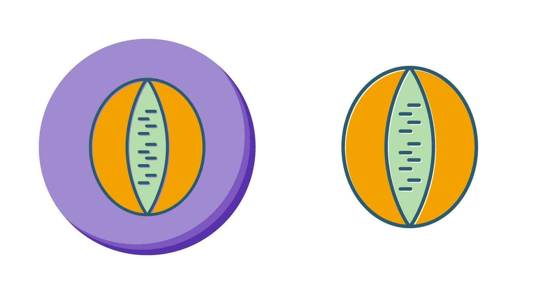 Rockmelon Vector Icon