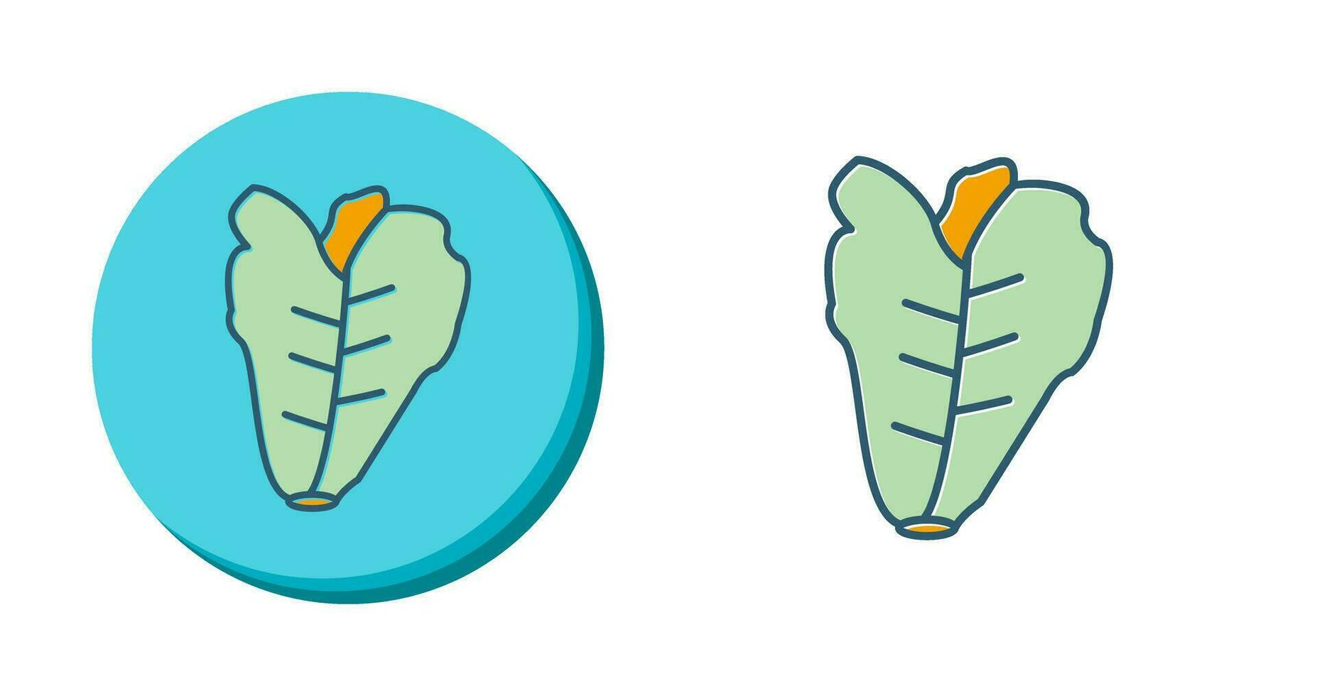 Lettuce Vector Icon