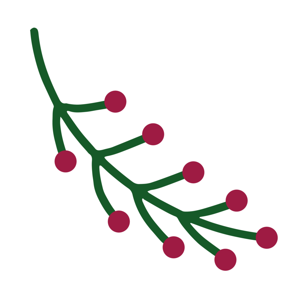 A sprig with berries png