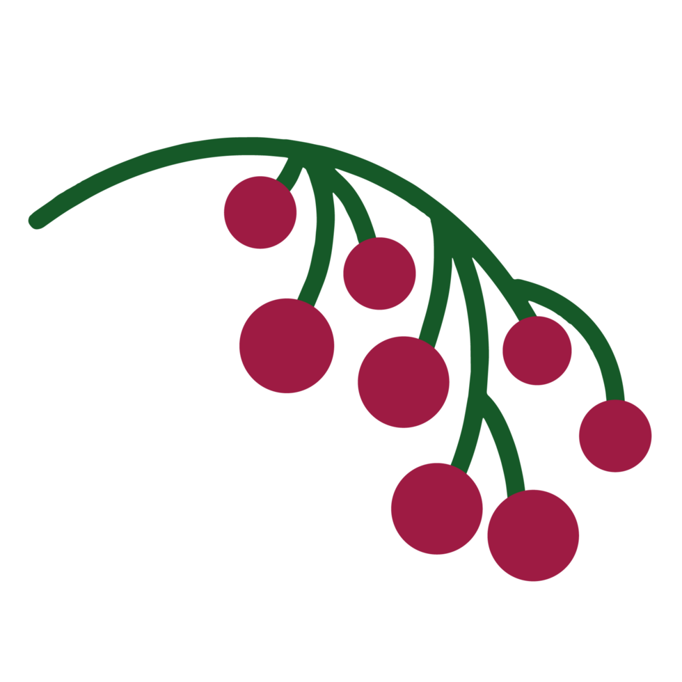 A sprig with berries png