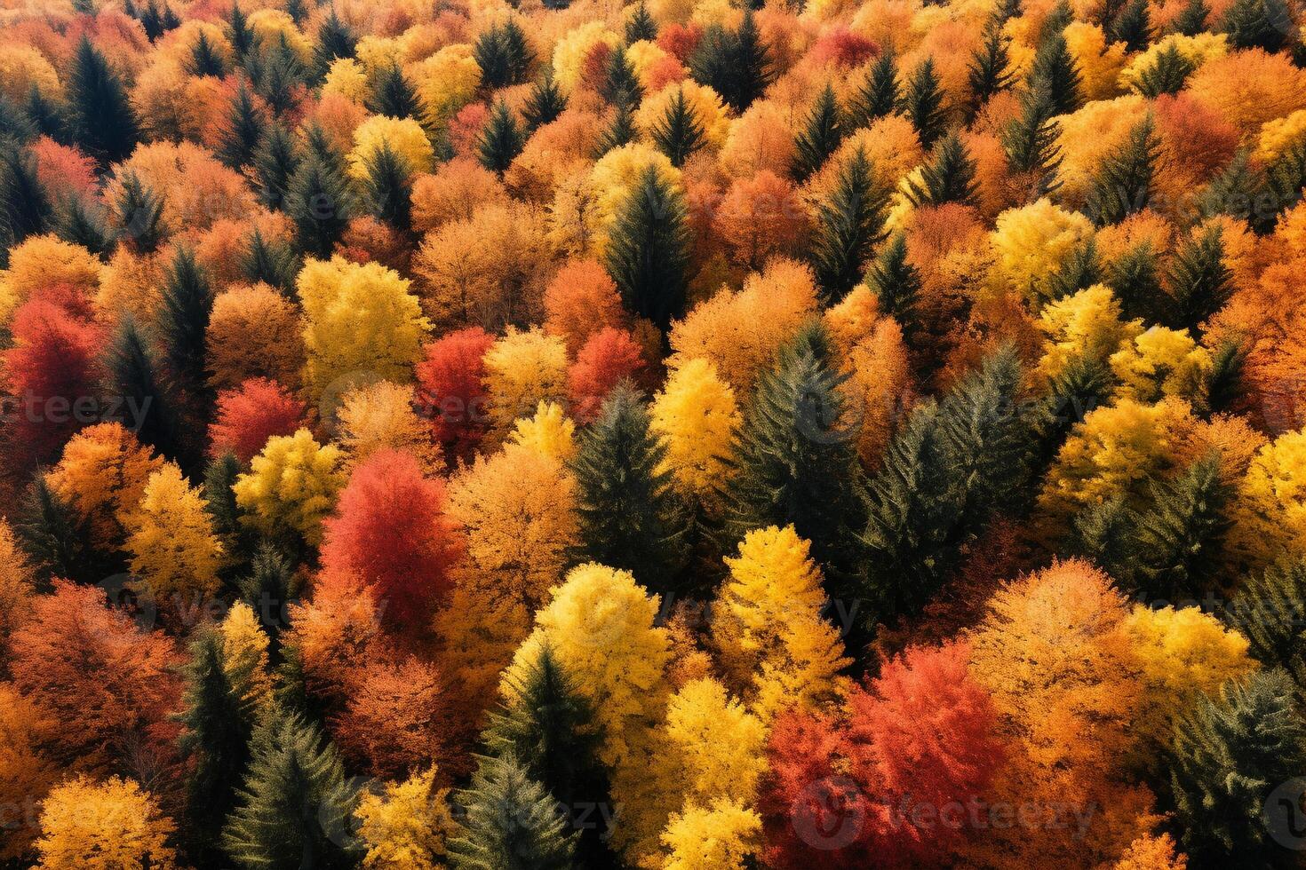 Aerial view of an enchanting autumn forest with vibrant hues of orange, red, and gold photo