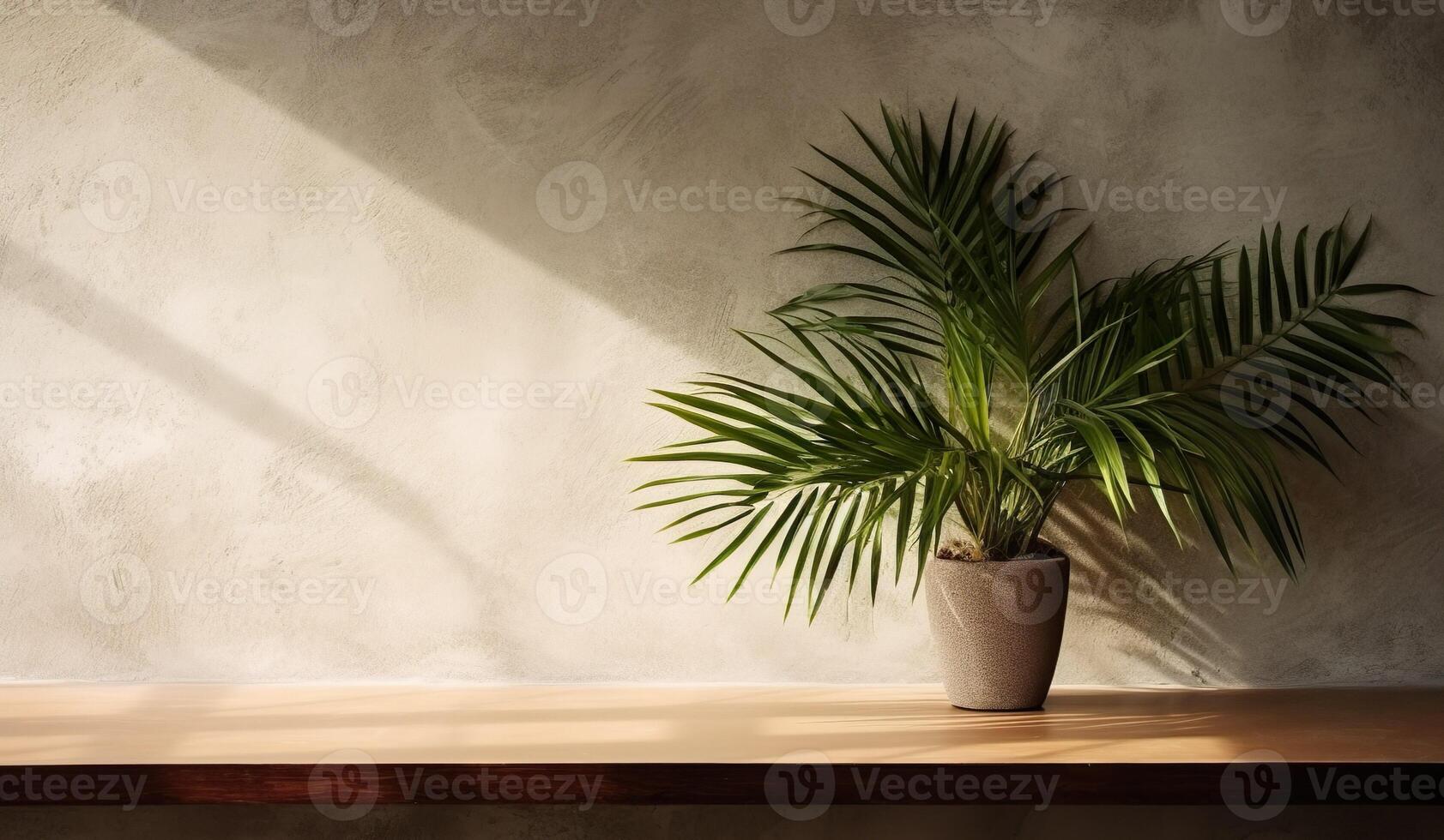 gris cemento pared y piso, palma árbol en florero en un luz de sol, sombra, rayos de sol efecto desde ventana, para lujo interior diseño decoración, producto monitor antecedentes. ai generativo foto