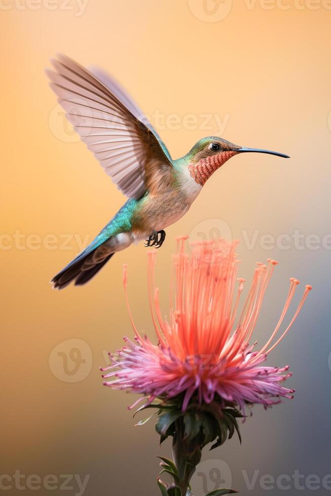 Minimalist capture of a hummingbird mid-flight sipping nectar from an exotic flower photo