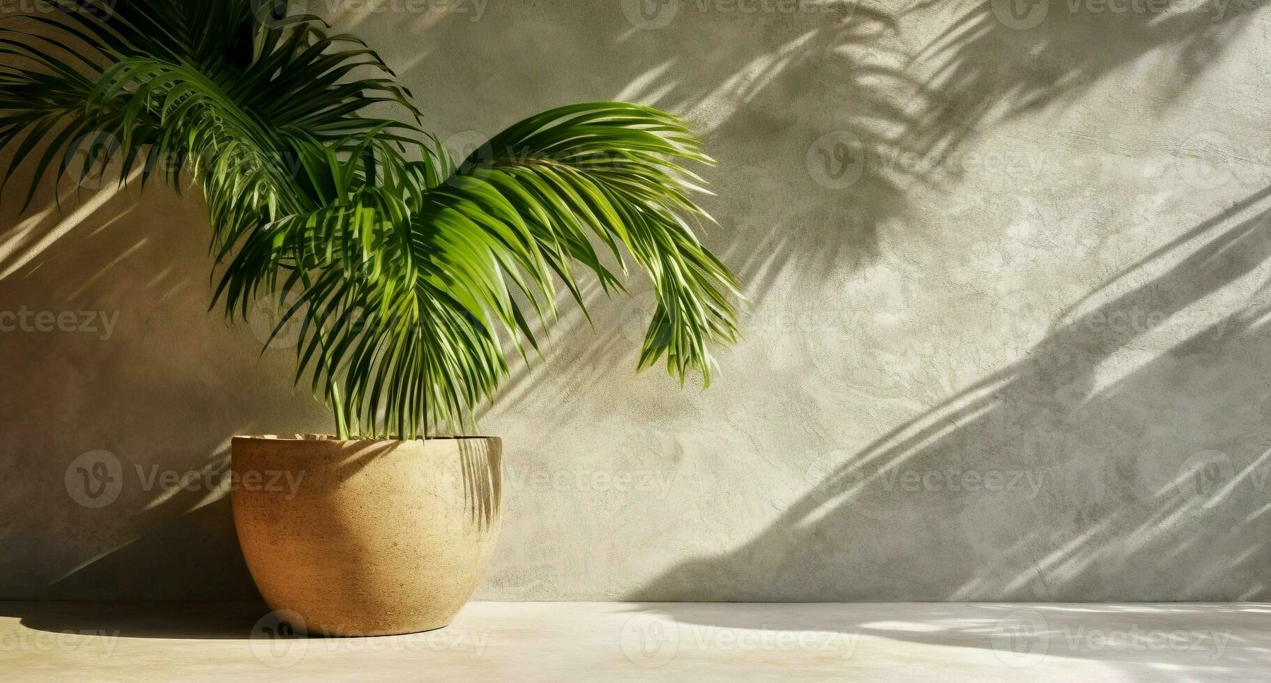 gris cemento pared y piso, palma árbol en florero en un luz de sol, sombra, rayos de sol efecto desde ventana, para lujo interior diseño decoración, producto monitor antecedentes. ai generativo foto