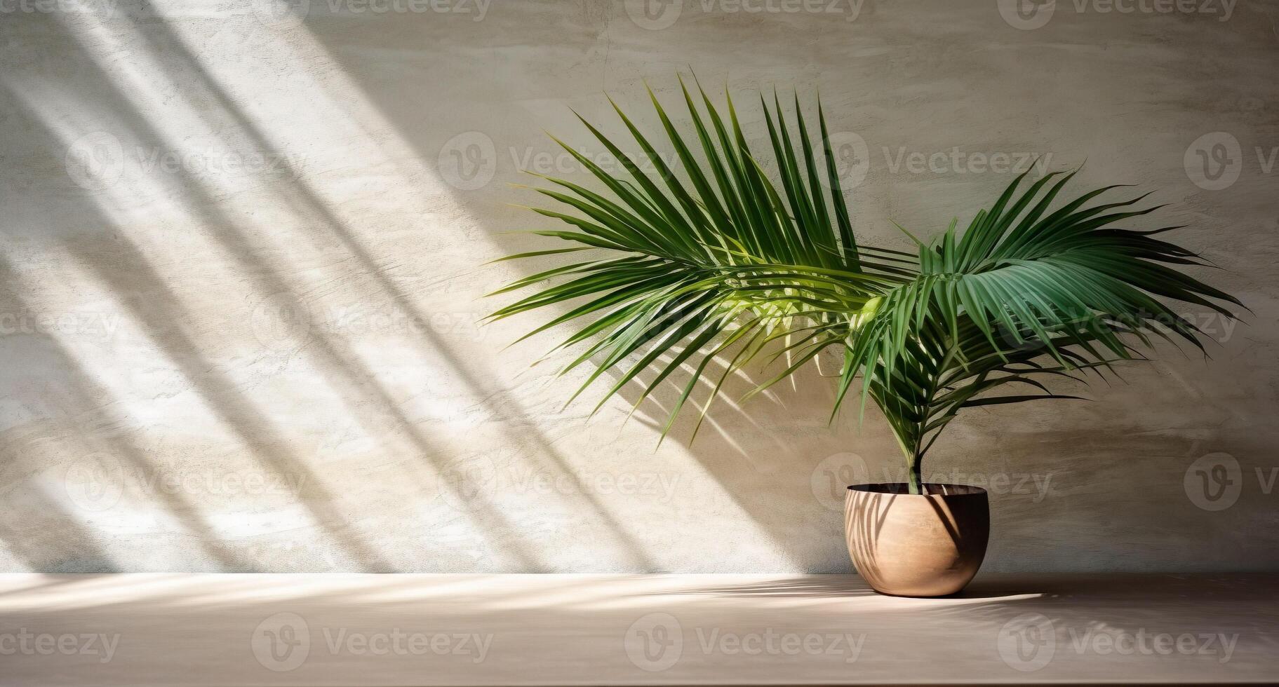 gris cemento pared y piso, palma árbol en florero en un luz de sol, sombra, rayos de sol efecto desde ventana, para lujo interior diseño decoración, producto monitor antecedentes. ai generativo foto