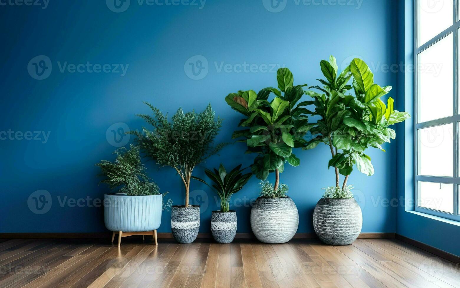 The indoor potted plants decoration in modern room with a wooden floor and blue wall. AI Generative photo