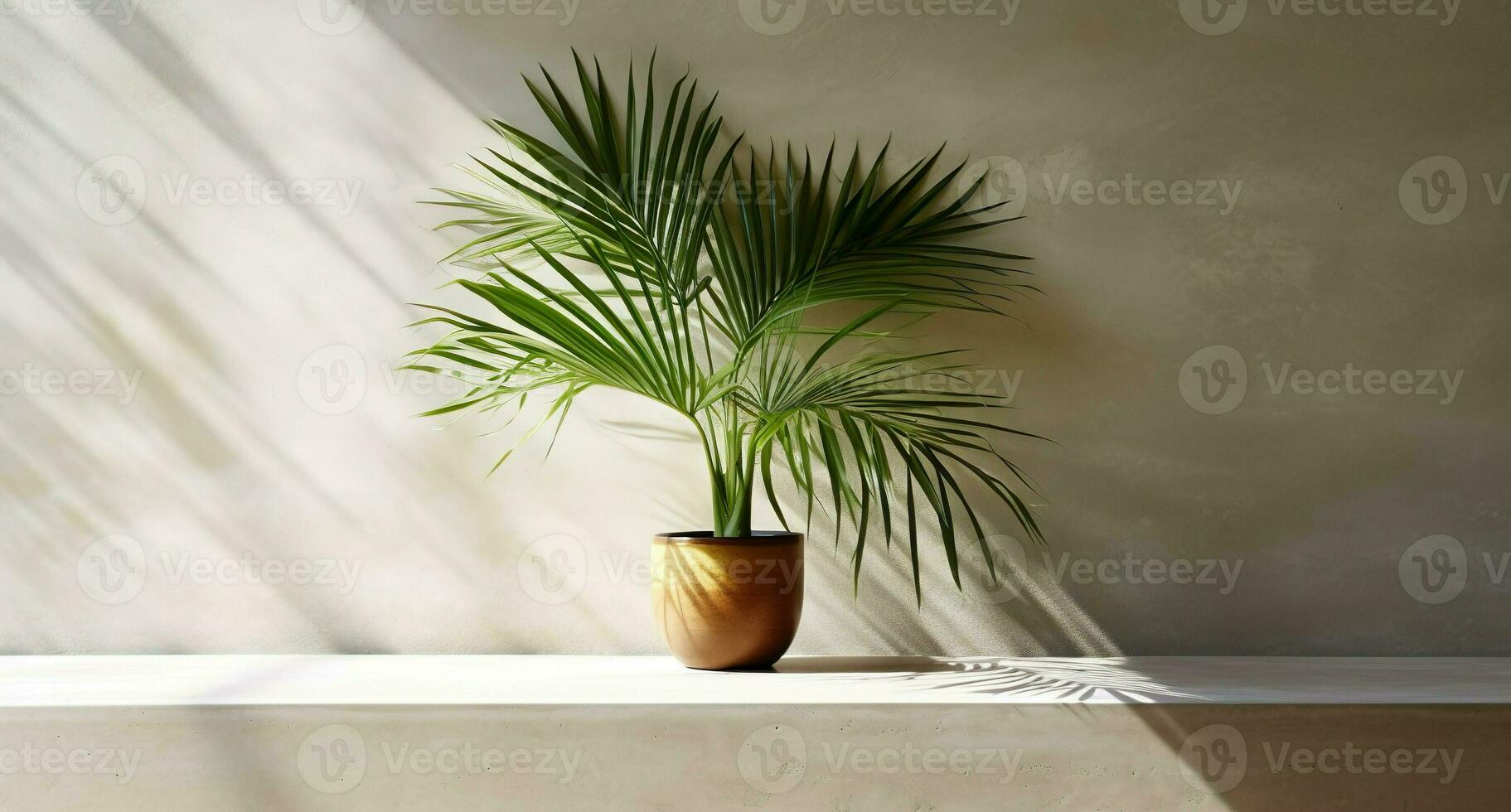 Gray cement wall and floor, palm tree in vase in a sunlight, shadow, sunrays effect from window, for luxury interior design decoration, product display background. AI Generative photo