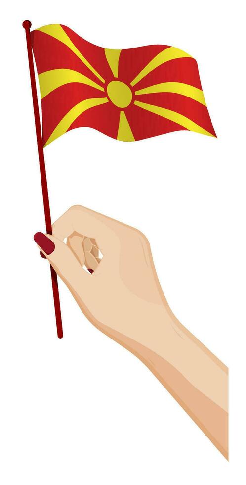 Female hand gently holds small flag of North Macedonia. Holiday design element. Cartoon vector on white background