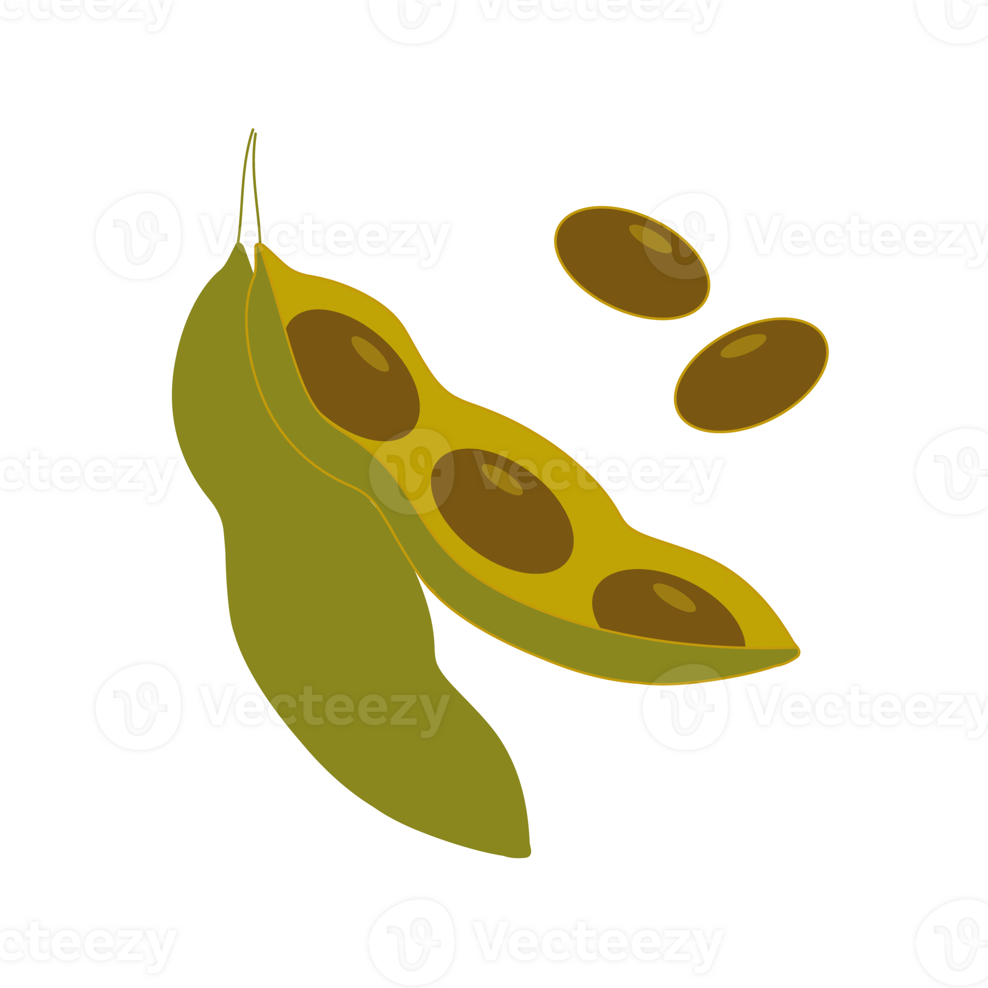 illustration, edamame beans isolated 28744972 PNG