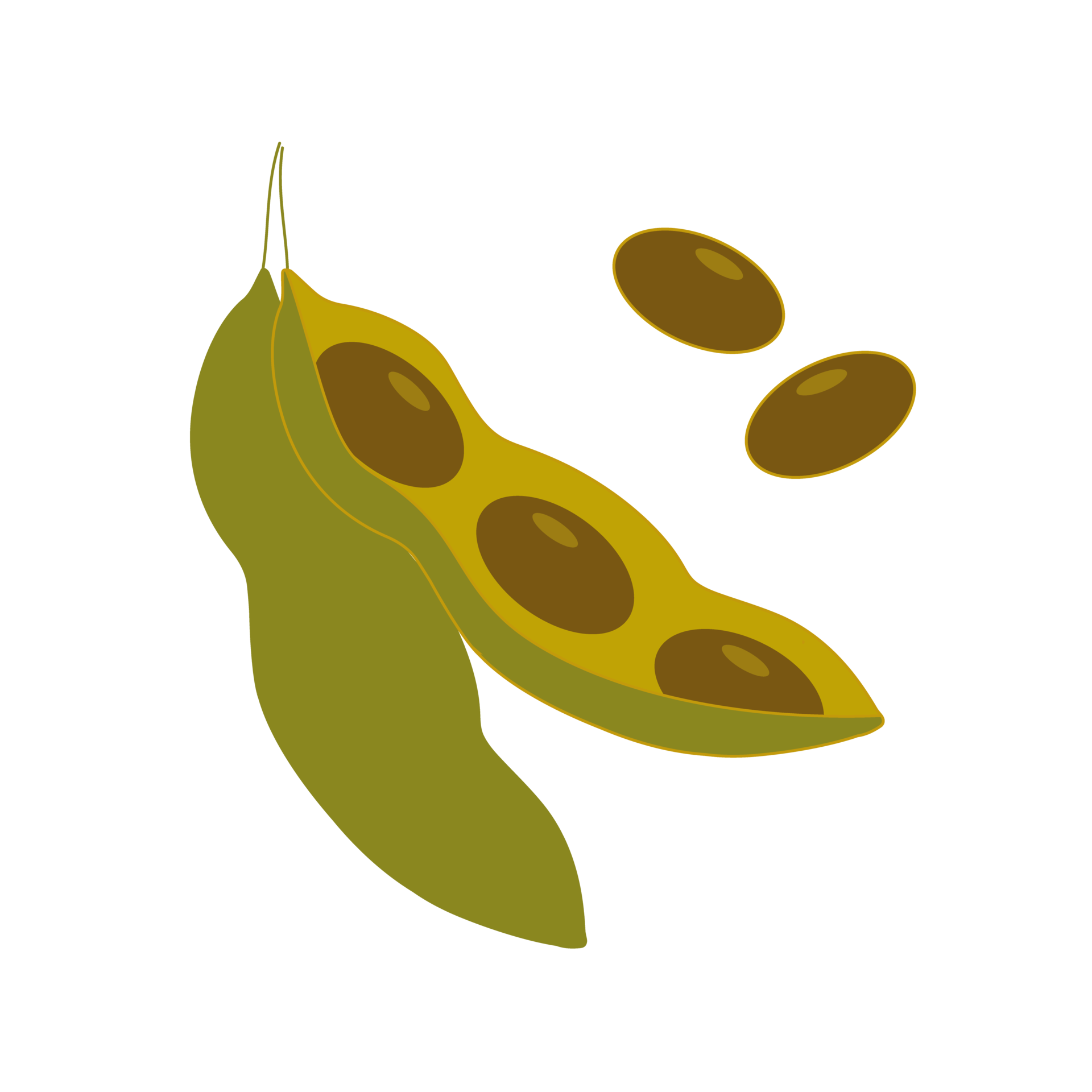 illustration, edamame beans isolated 28744972 PNG