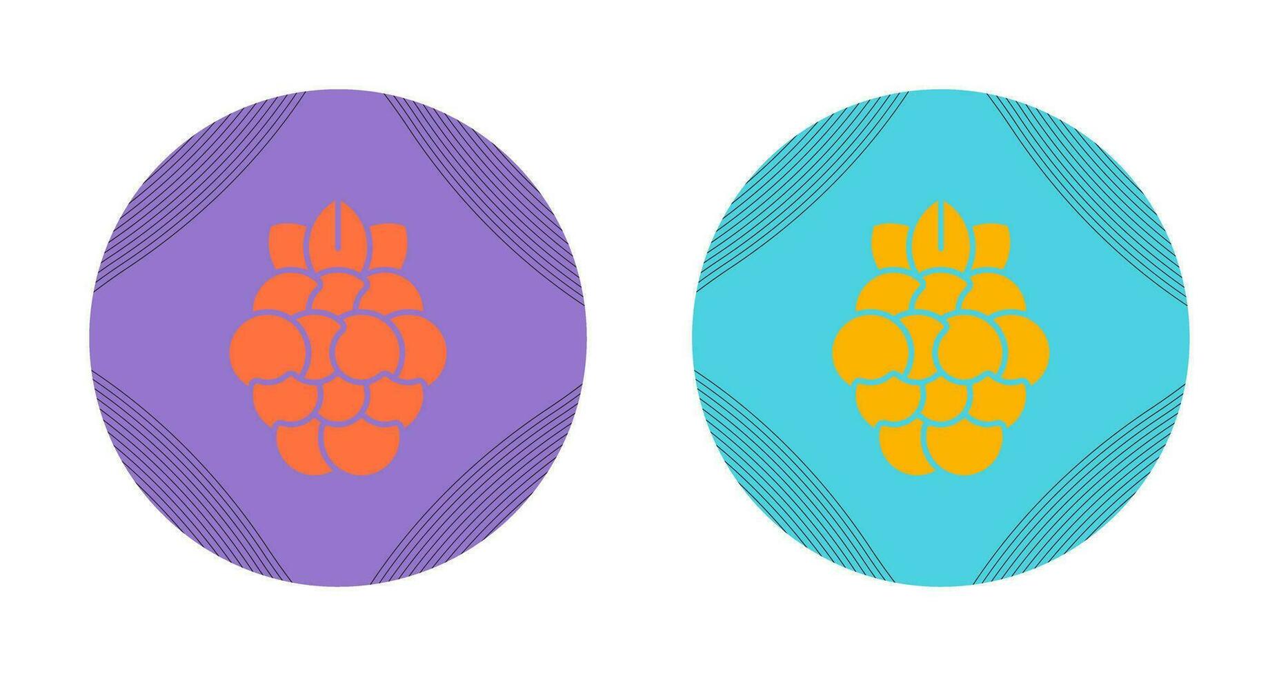 Raspberry Vector Icon