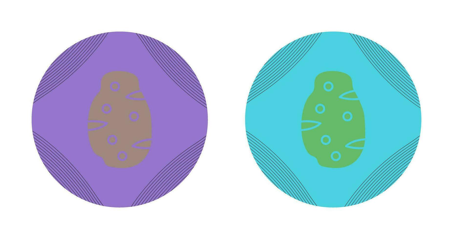 Potato Vector Icon