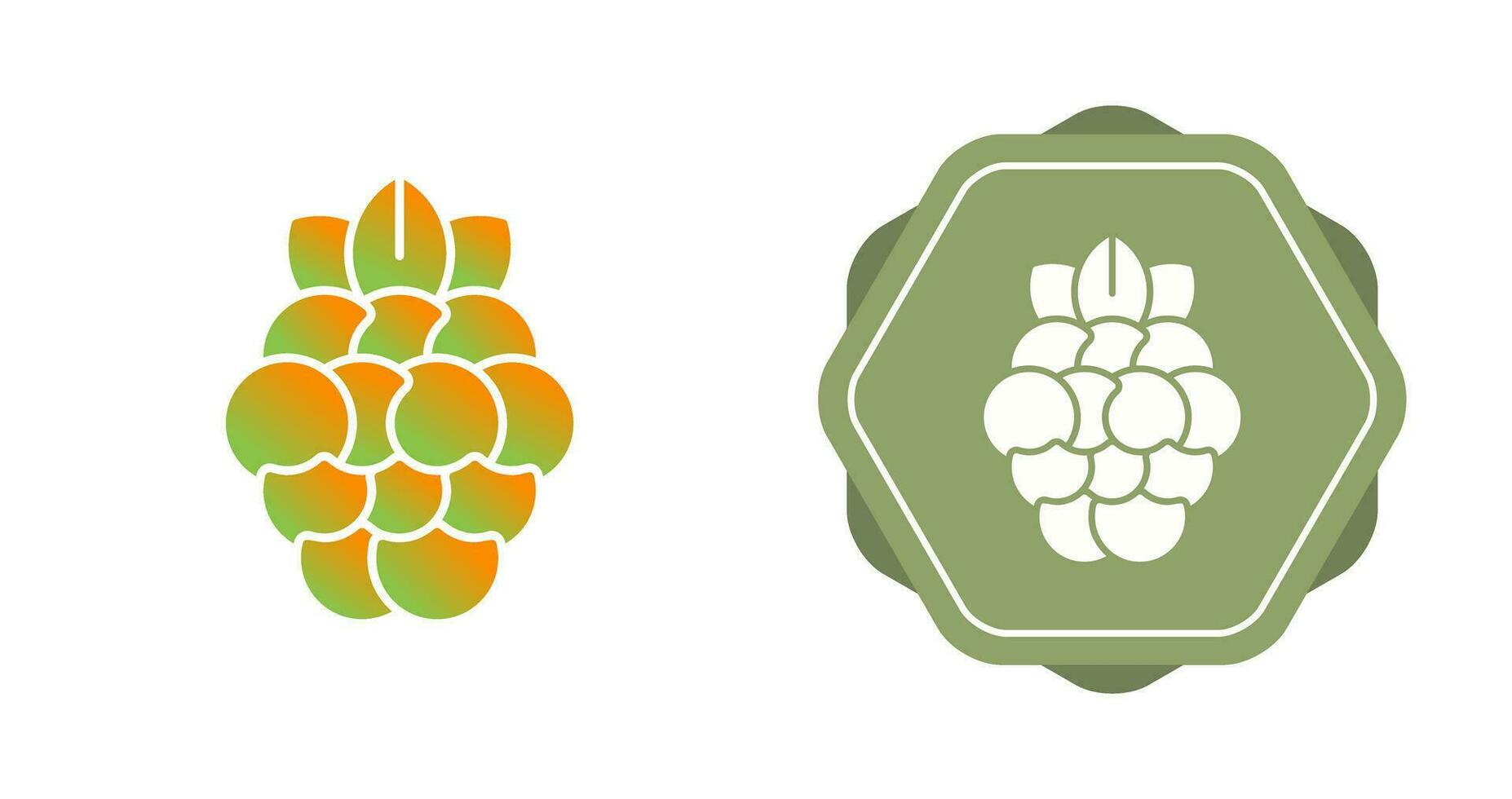 Raspberry Vector Icon