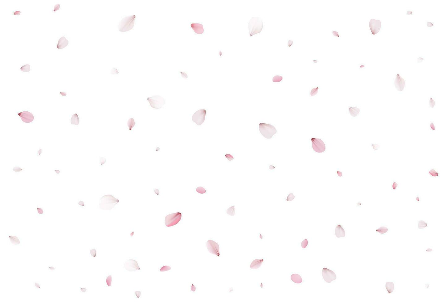 Realistic cherry petals. Vector illustration