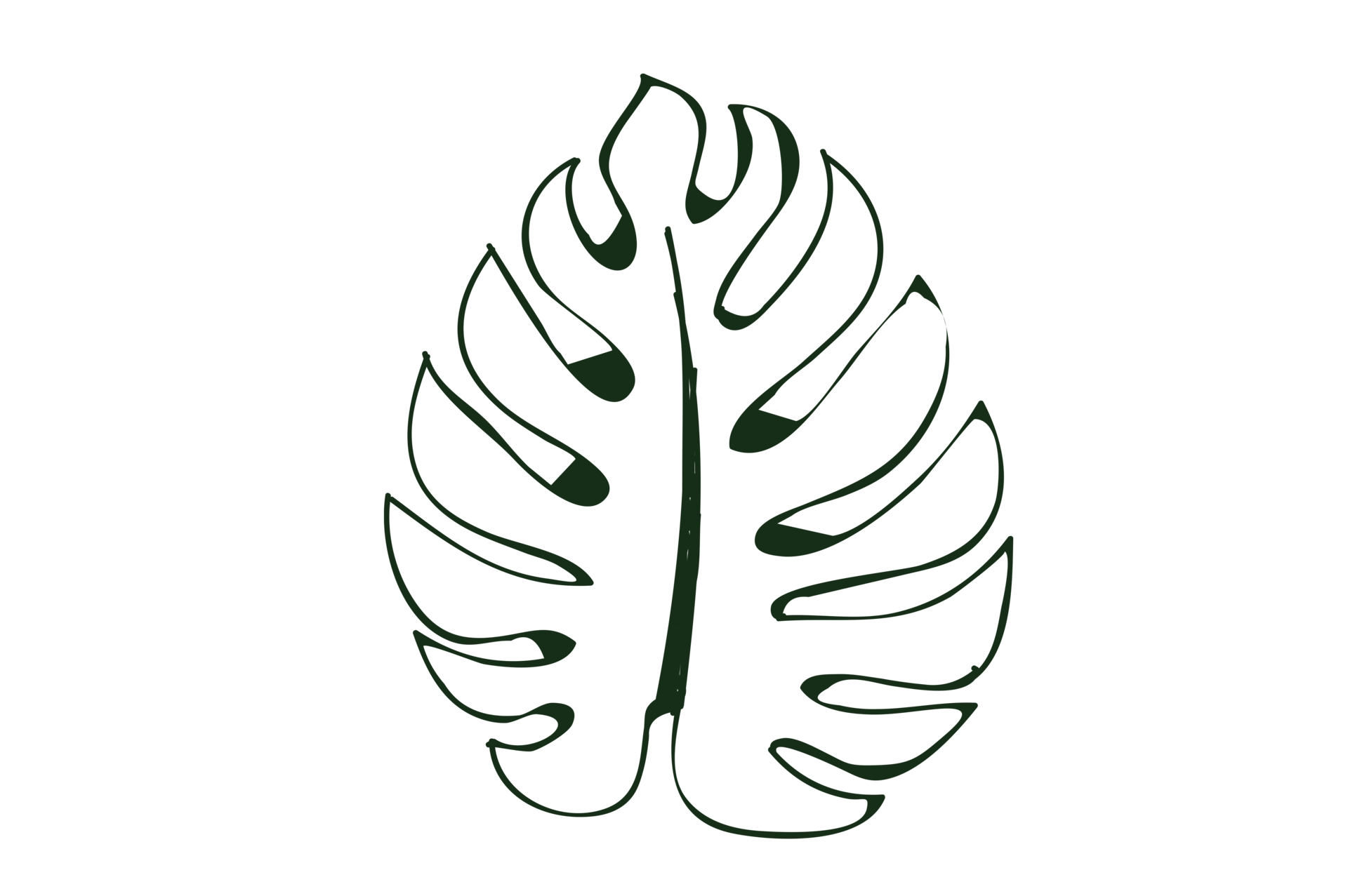 monstera-leaf-pattern-isolate-on-transparent-background-png-file