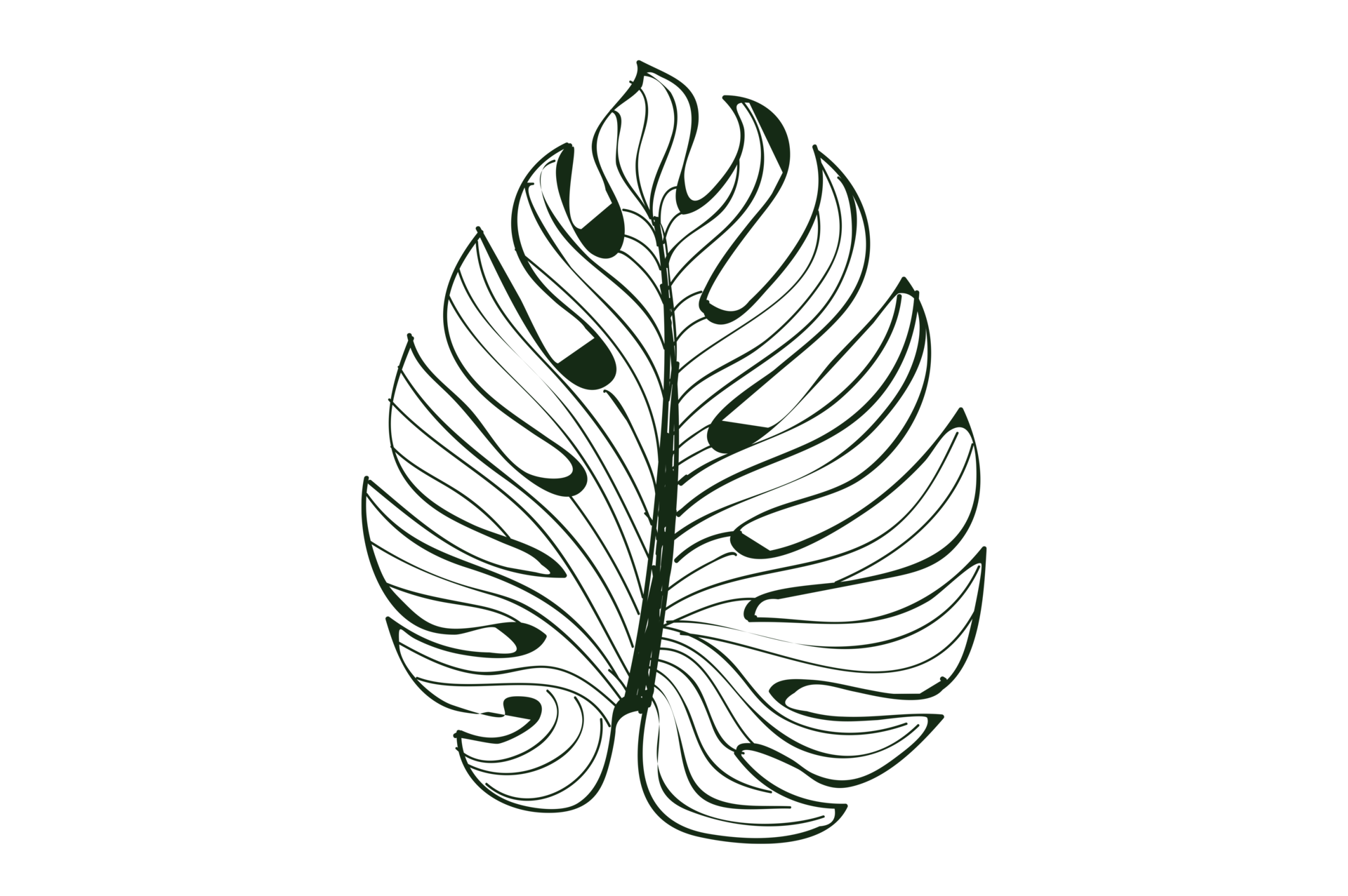 monstera-leaf-pattern-isolate-on-transparent-background-png-file