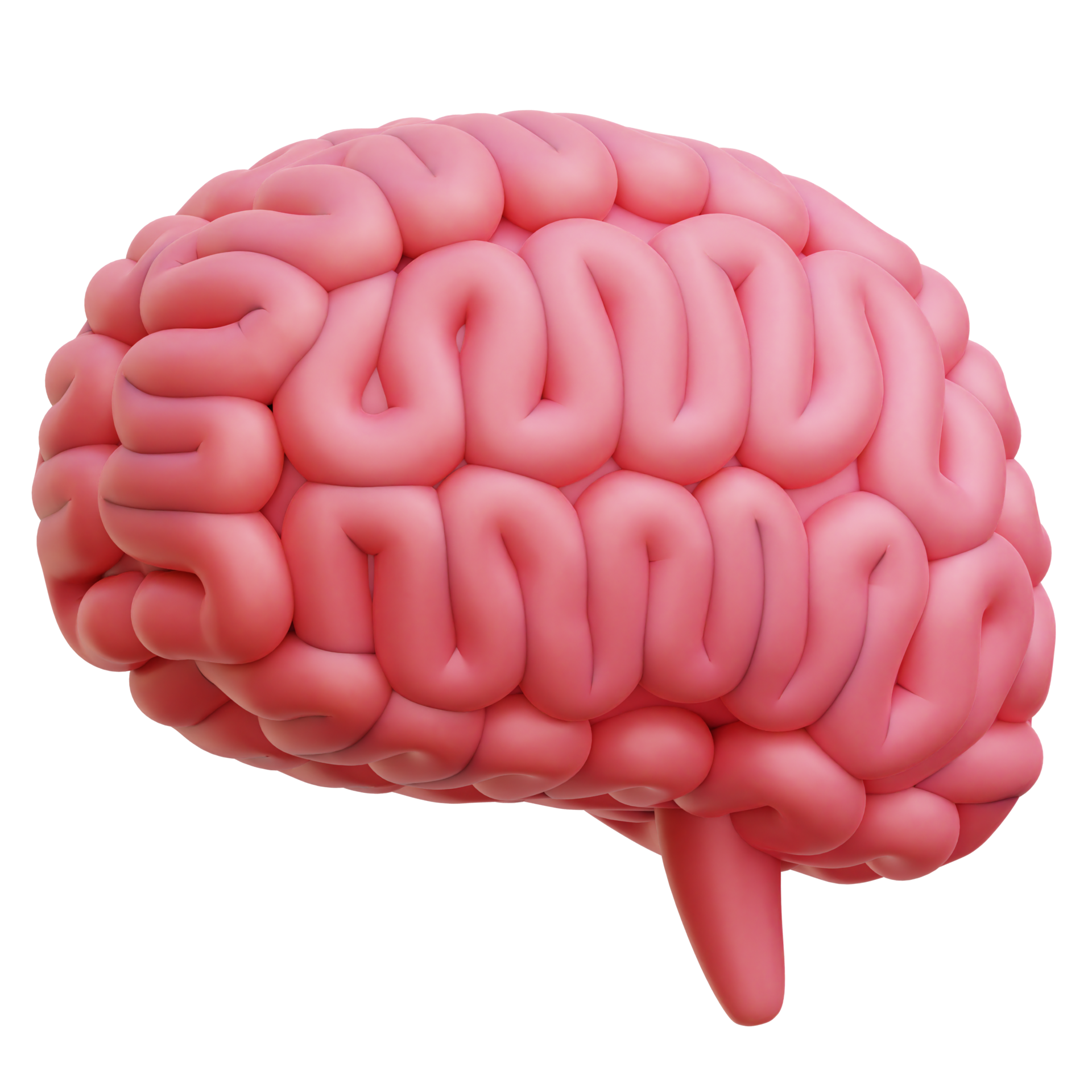 Gehirn 3d Symbol Illustration 28753801 PNG