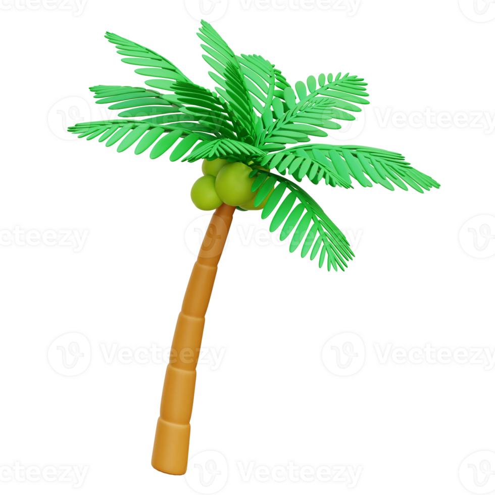Palm Tree 3d Icon Illustrations png