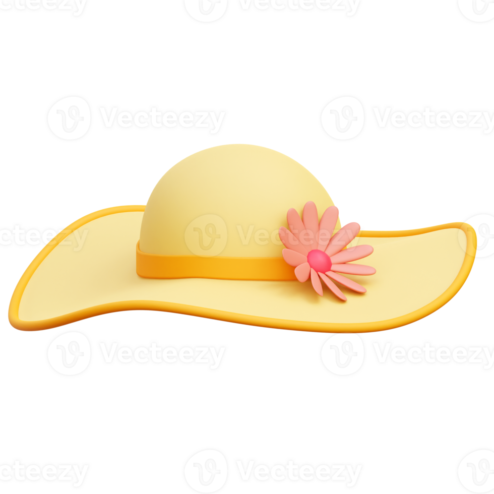 Pamela Hat 3d Icon Illustrations png
