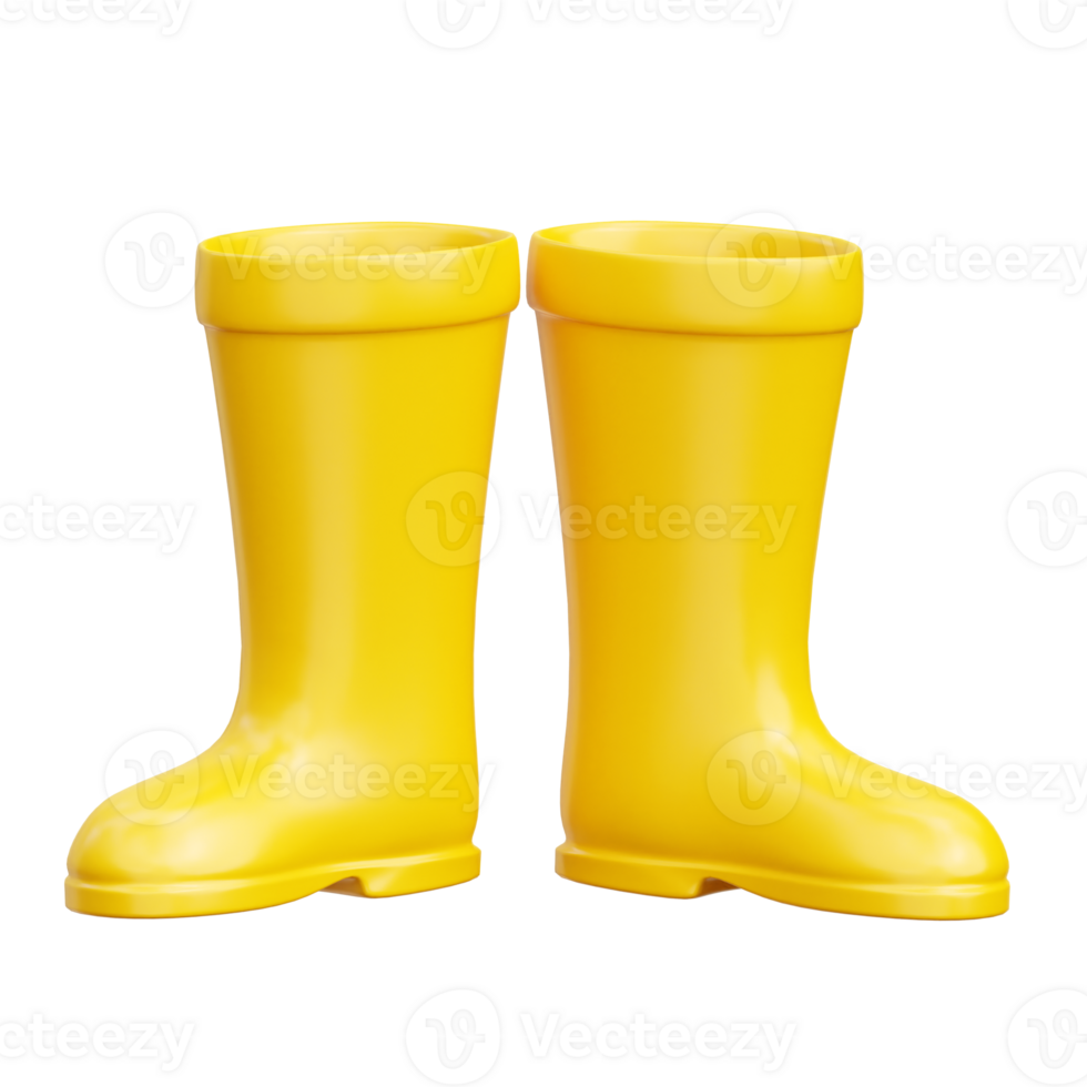 Rain Boots 3d Icon Illustrations 28754073 PNG
