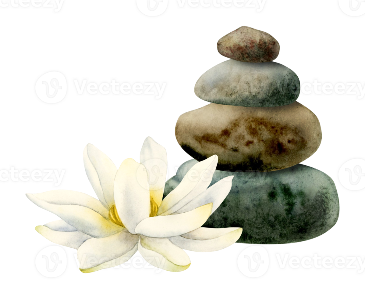 waterverf lotus bloem en evenwichtig stenen piramide realistisch illustratie voor yoga en spa centra, natuurlijk schoonheidsmiddelen en Gezondheid zorg png