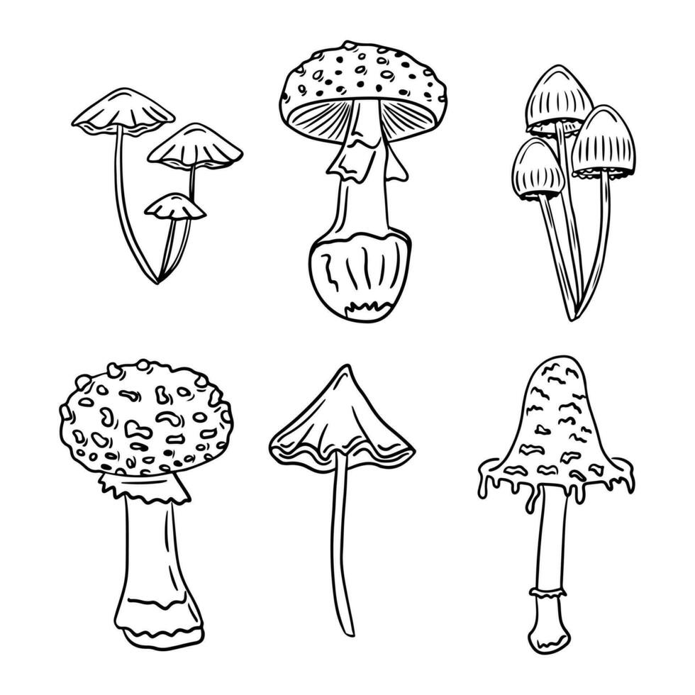 Set of doodle hand drawn poisonous mushrooms. Sketch hand drawn design for Halloween for coloring pages, stickers, tatoo. Black outline fungus simple drawn on white background vector