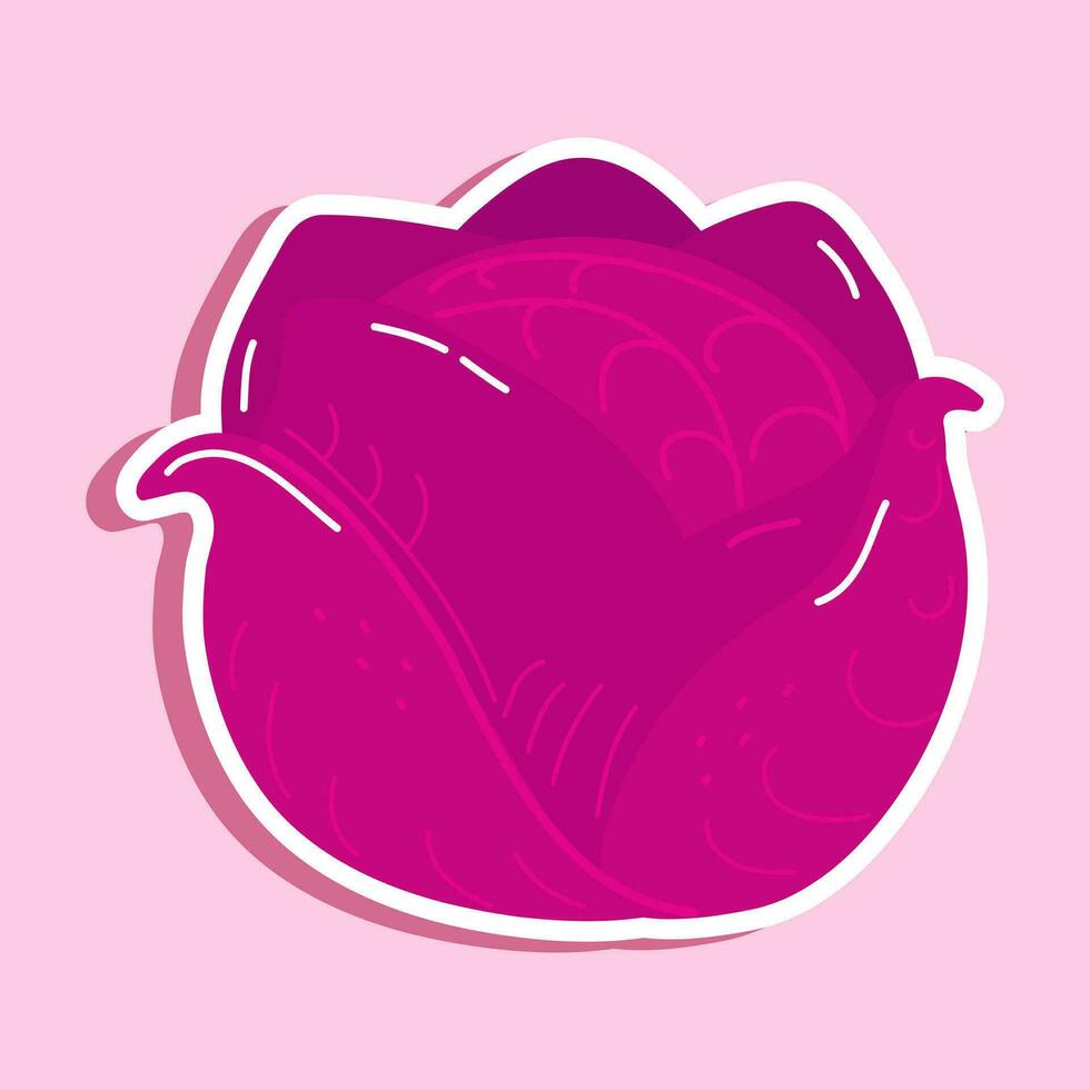 Cute funny red cabbage sticker character. Vector hand drawn cartoon kawaii character illustration icon. Isolated on pink background. Red cabbage character concept