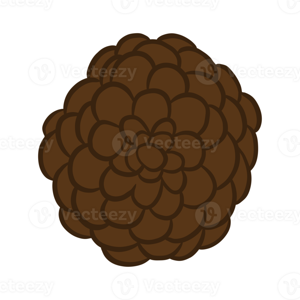 Brown Pine Cone png