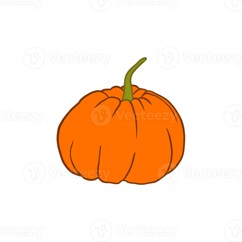 Fall Pumpkin Handrawn png