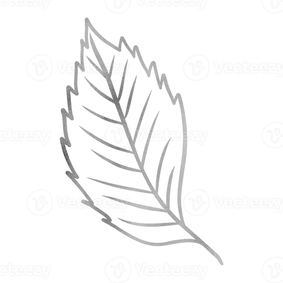 Silver Fall Leaf png