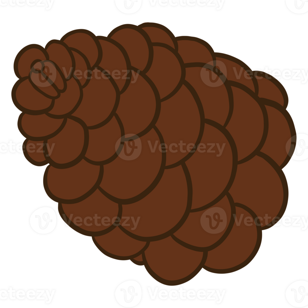 Pine Cone Drawing 28760504 PNG