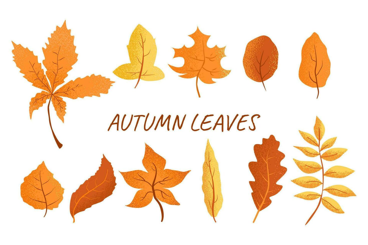 Set of autumn leaves. yellow, red, orange, brown leaves. Isolated on white background. Hand drawn vector autumn leaves.fallen dry leaves. Stock vector illustration