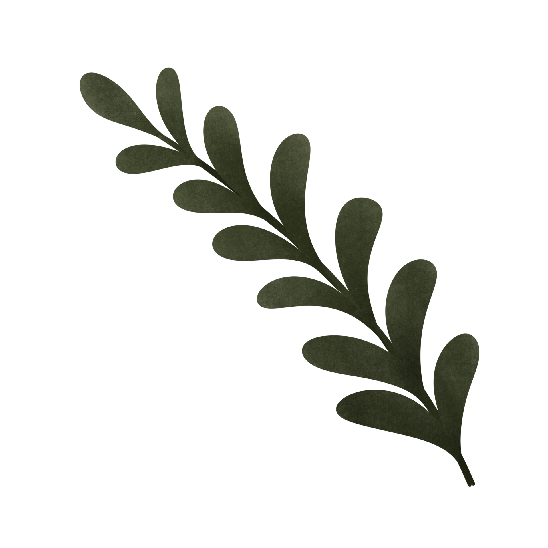 cartoon of green olive branch, no background, Autumn 28761397 PNG