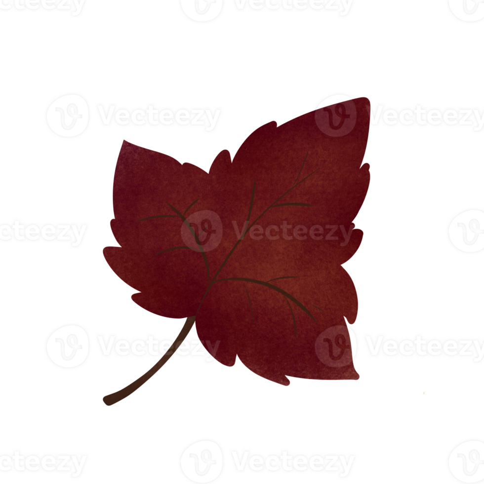 Red dry maple leaf in Autumn, no background png