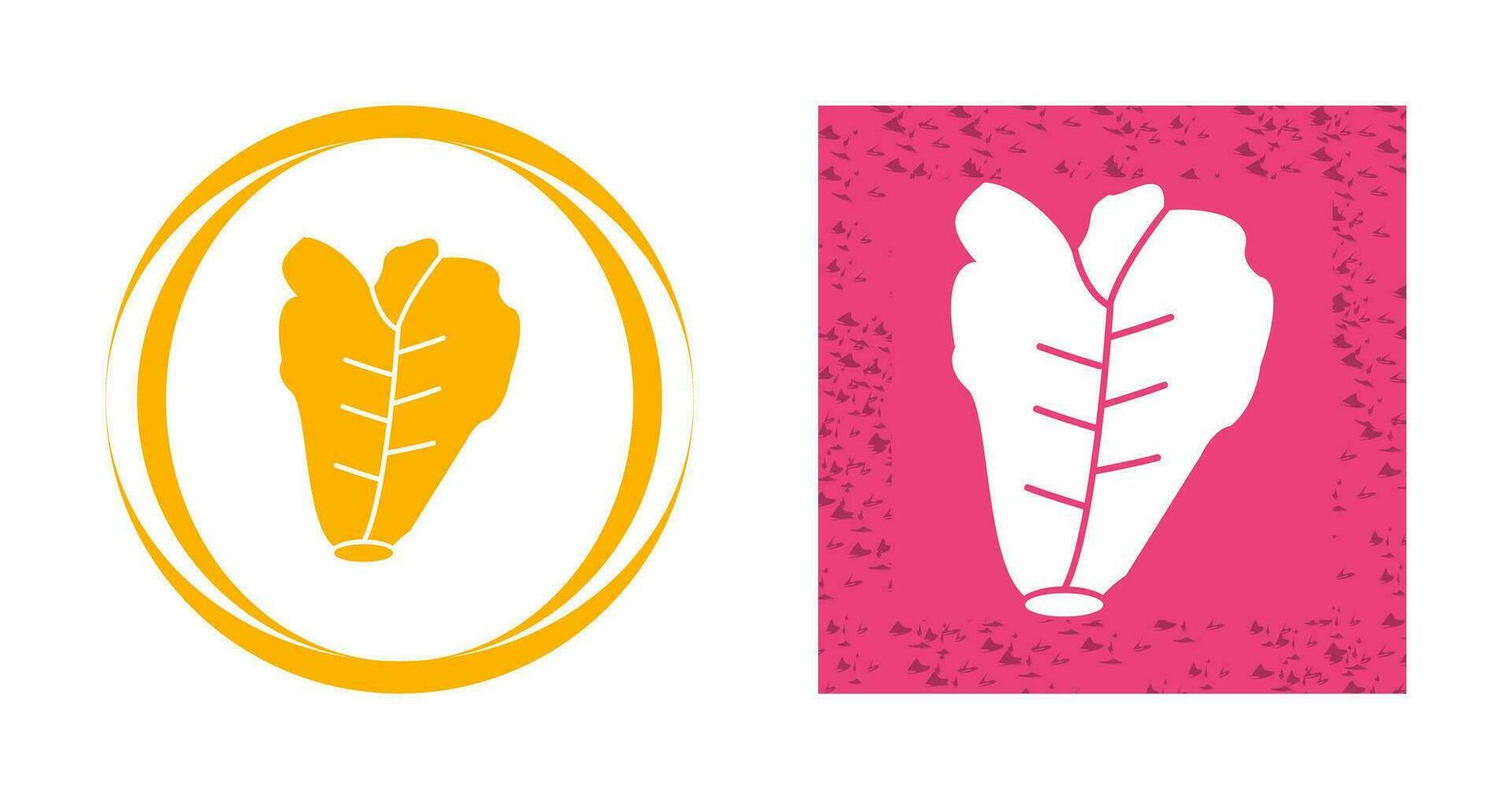 Lettuce Vector Icon