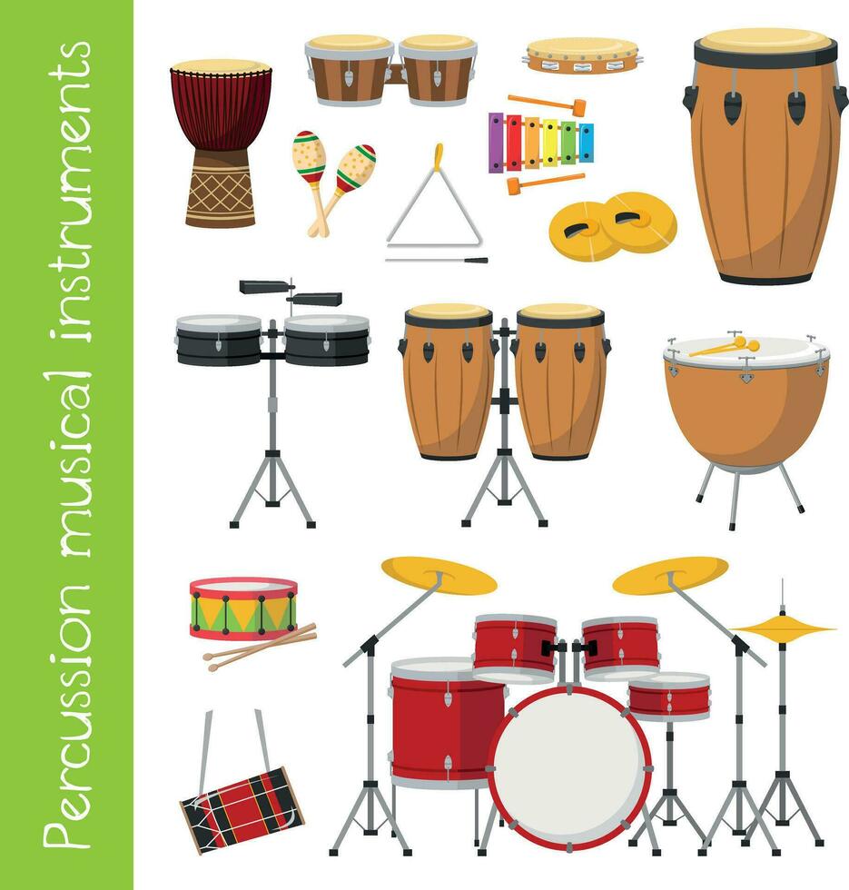 Vector illustration set of percussion musical instruments in cartoon style isolated on white background