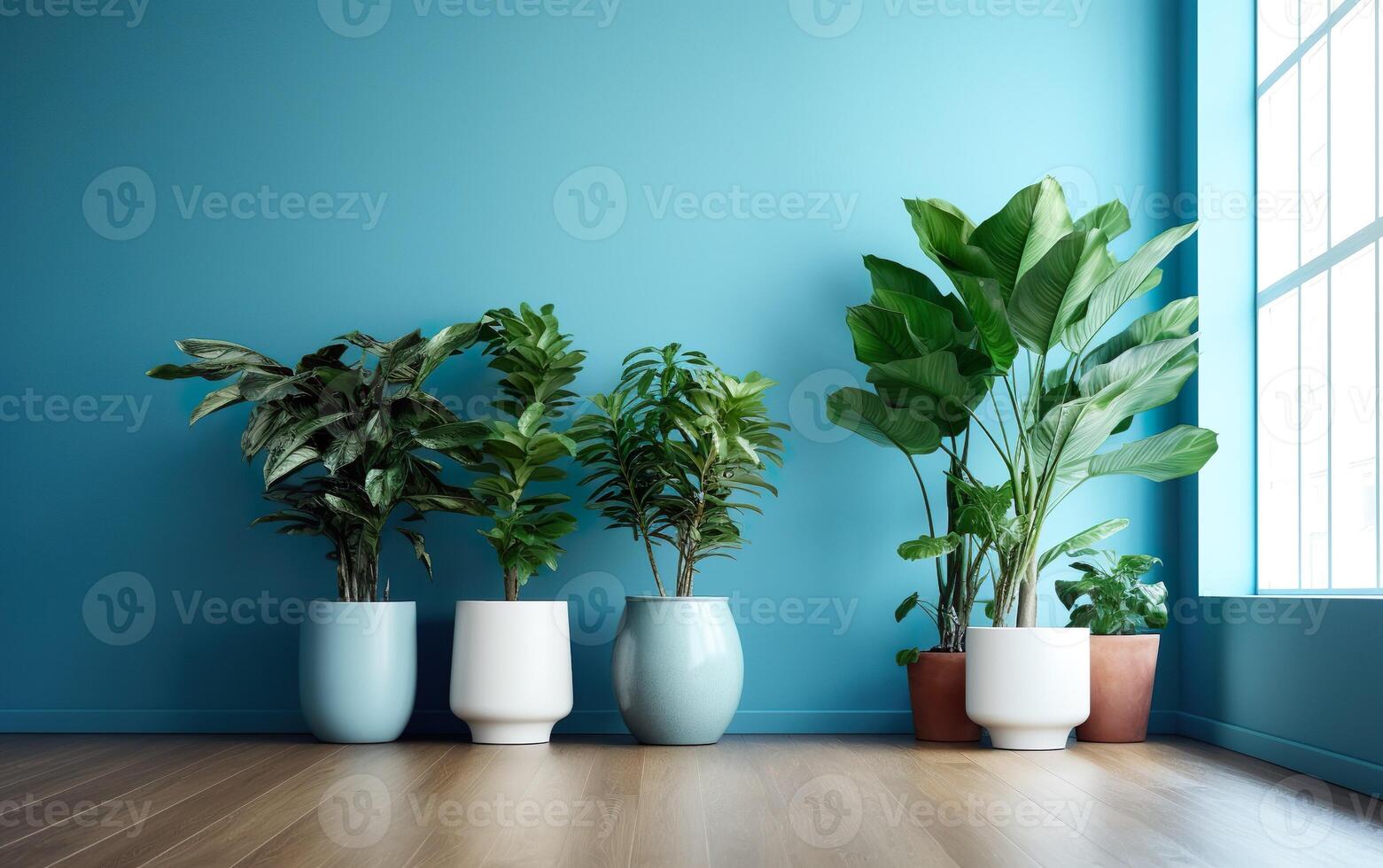 The indoor potted plants decoration in modern room with a wooden floor and blue wall. AI Generative photo