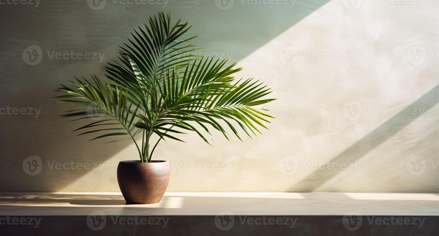 gris cemento pared y piso, palma árbol en florero en un luz de sol, sombra, rayos de sol efecto desde ventana, para lujo interior diseño decoración, producto monitor antecedentes. ai generativo foto