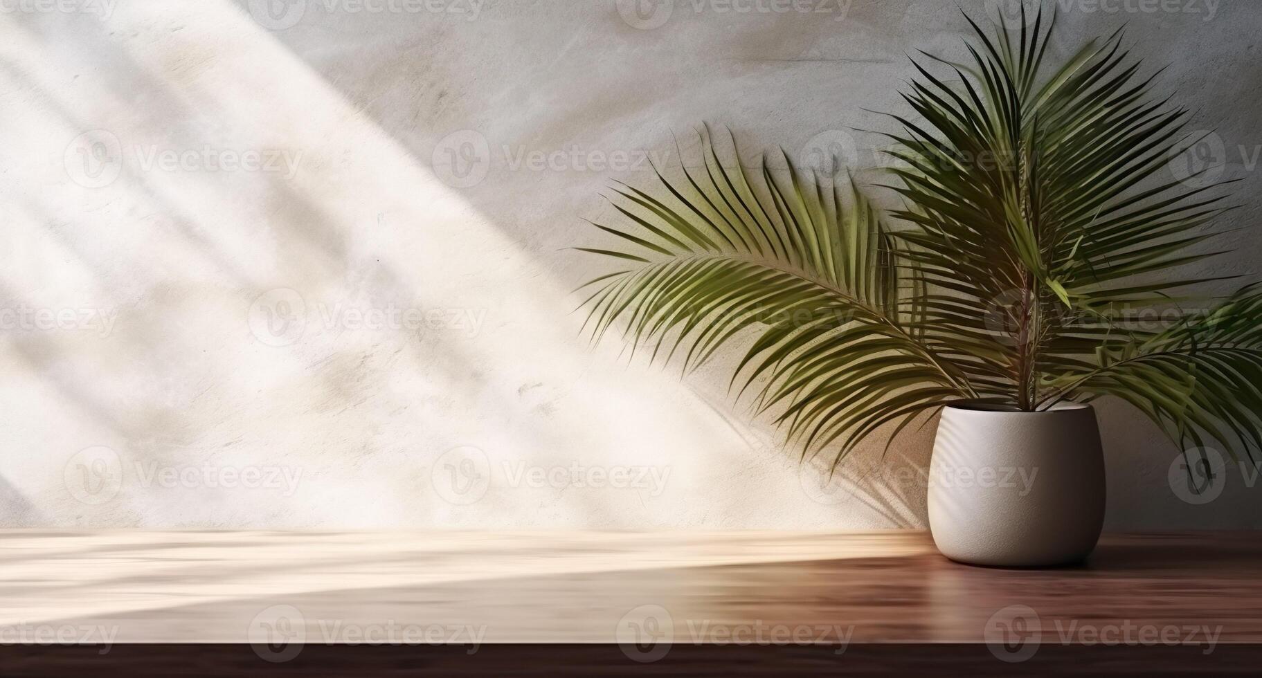 Gray cement wall and floor, palm tree in vase in a sunlight, shadow, sunrays effect from window, for luxury interior design decoration, product display background. AI Generative photo