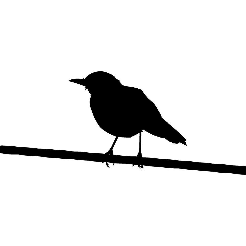 Silhouette of the Bird Perched on the Electrical Wire Base on my Photography. Vector Illustration