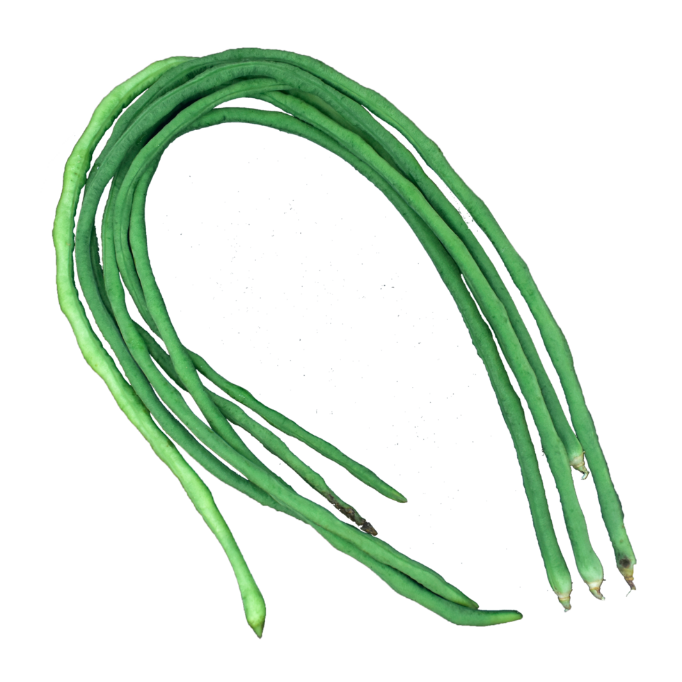 Green beans isolated png