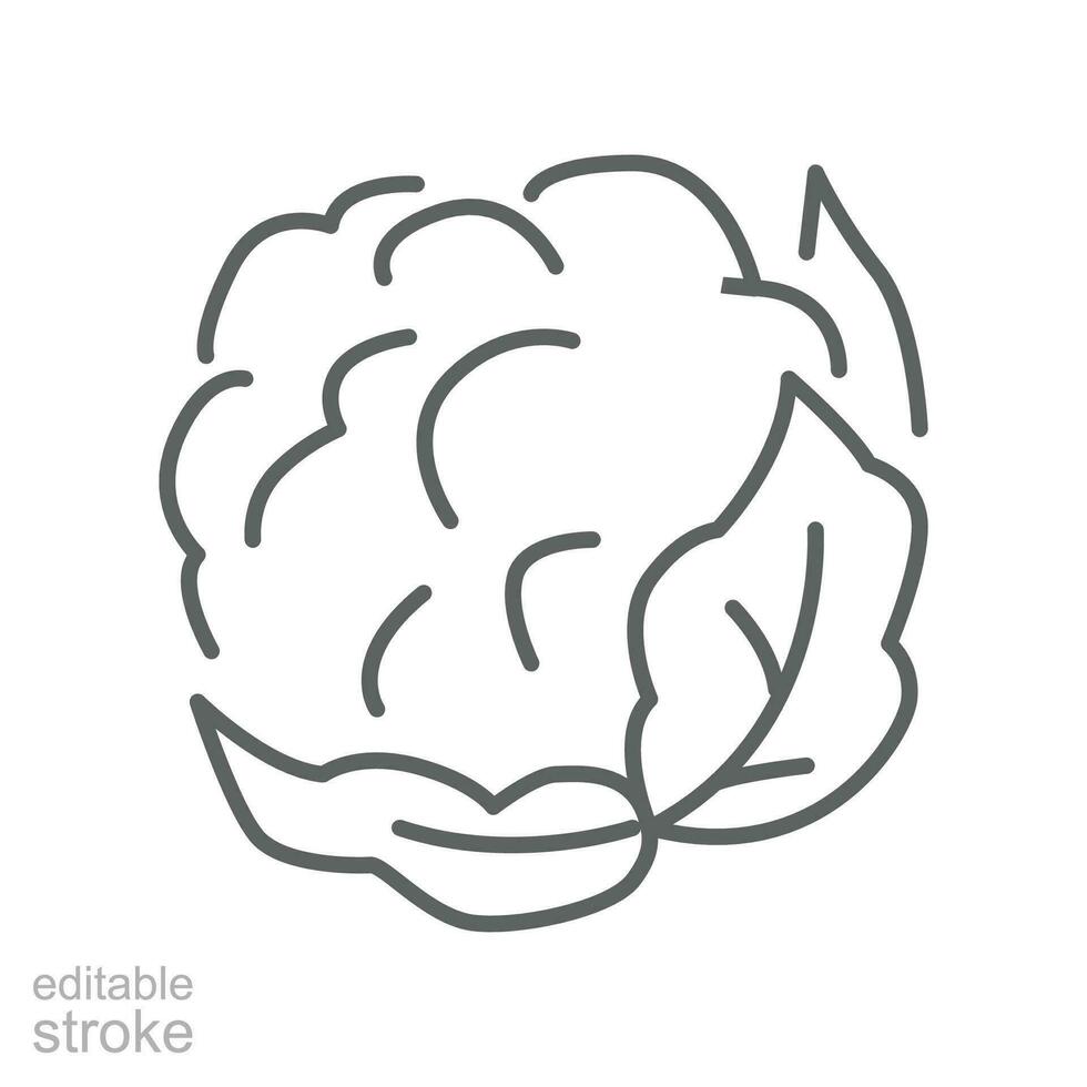 Cauliflower icon. Organic Vegetables logo Cabbage. vegetable and diet from the garden. Organic healthy food. Outline style. Editable stroke vector illustration design on white background. EPS 10