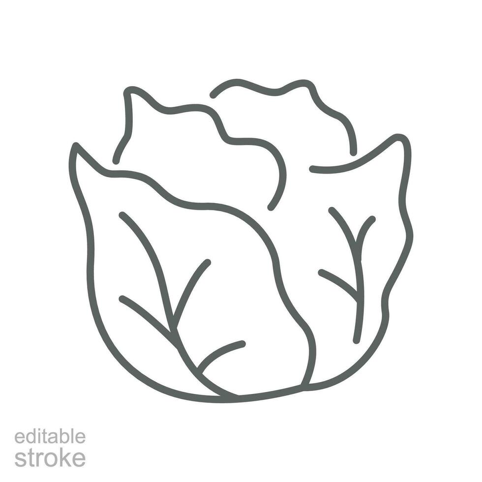 Cabbage icon. Green organic vegetable and food logo. vegetarian salad recipe. Fresh  leaves lettuce. Outline style pictogram Editable stroke. Vector illustration. Design on white background. EPS 10